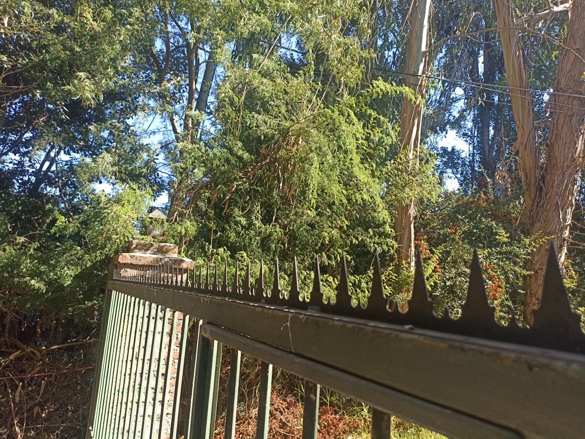 Protecciones en rejas